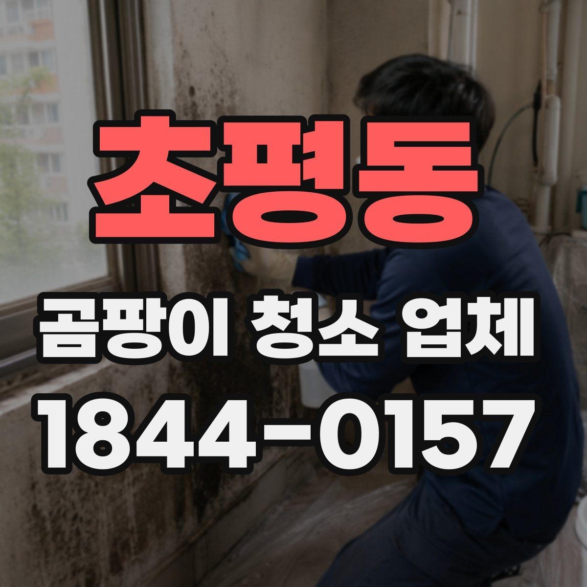 초평동 곰팡이 청소 업체 선택 시 서비스 범위 확인하기