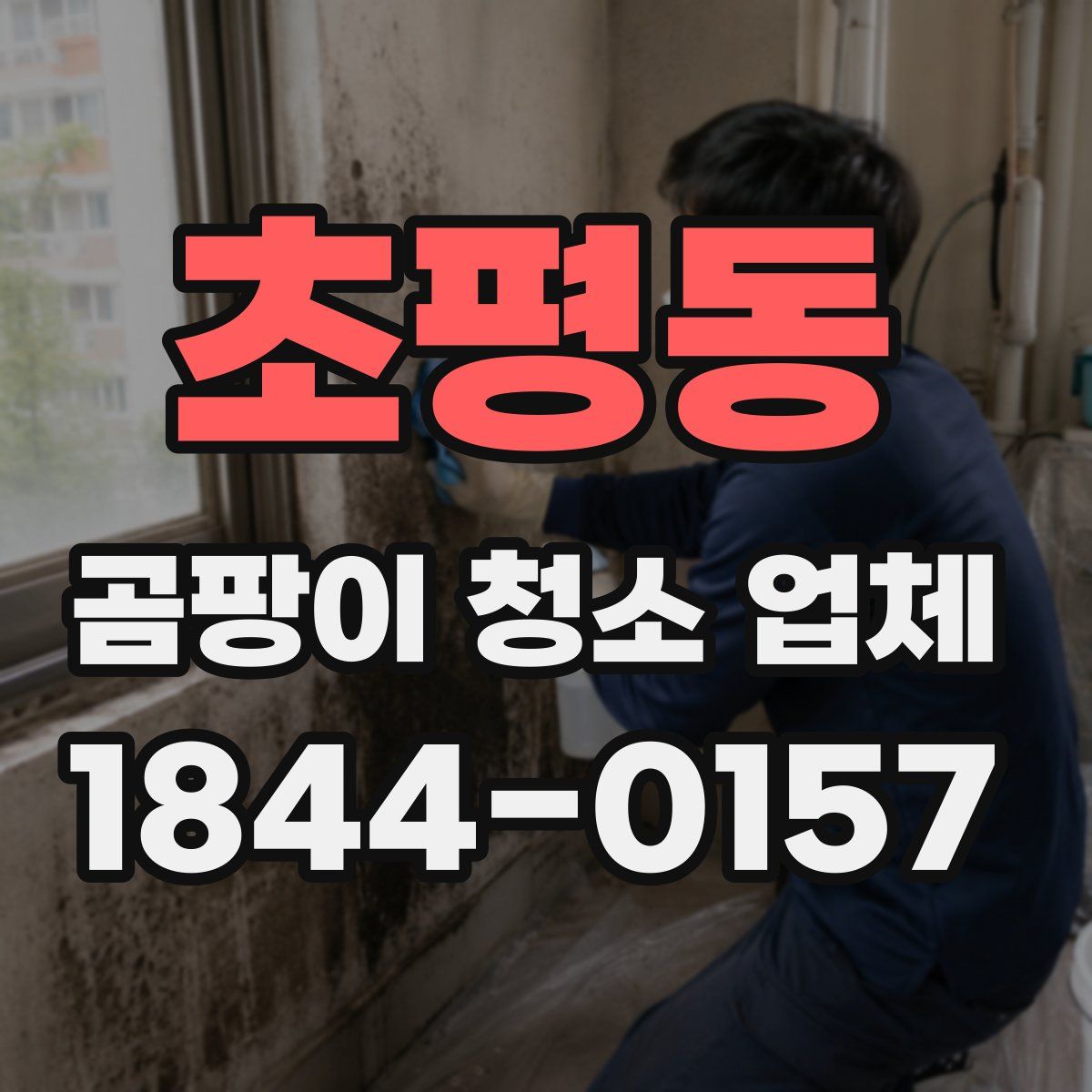 초평동 곰팡이 청소 업체