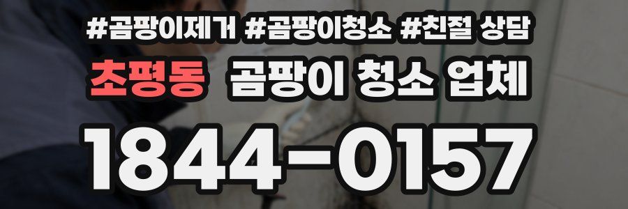초평동 곰팡이 청소 업체