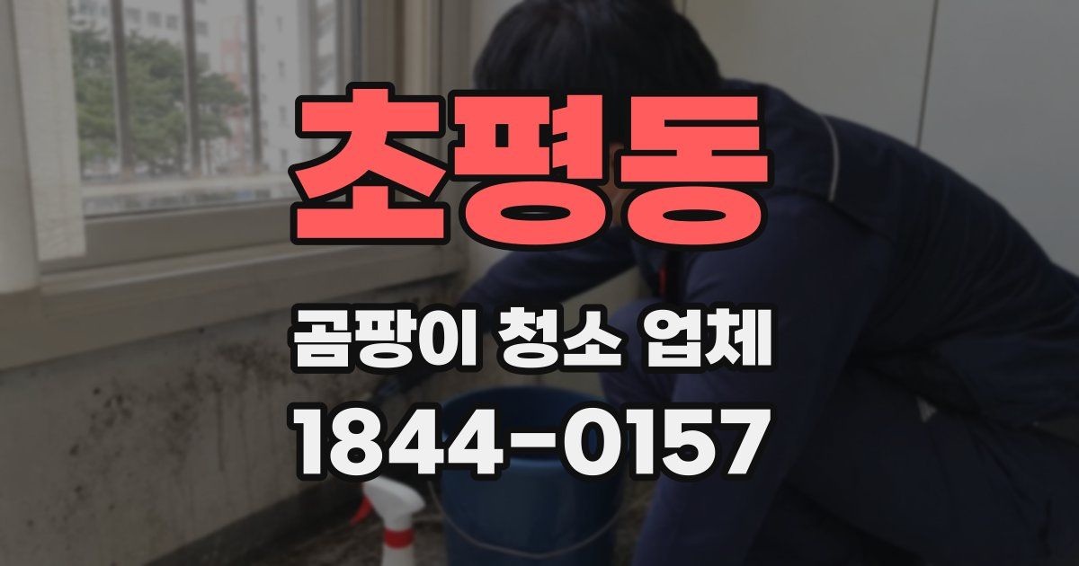 초평동 곰팡이 청소 업체
