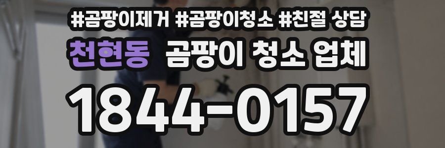 천현동 곰팡이 청소 업체
