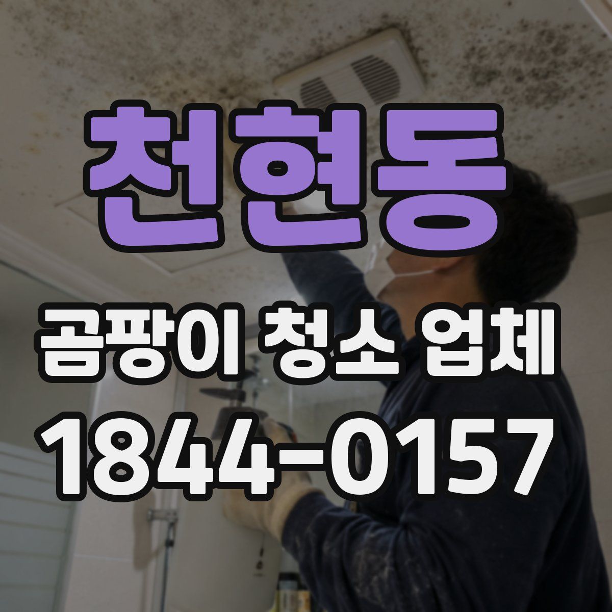 천현동 곰팡이 청소 업체