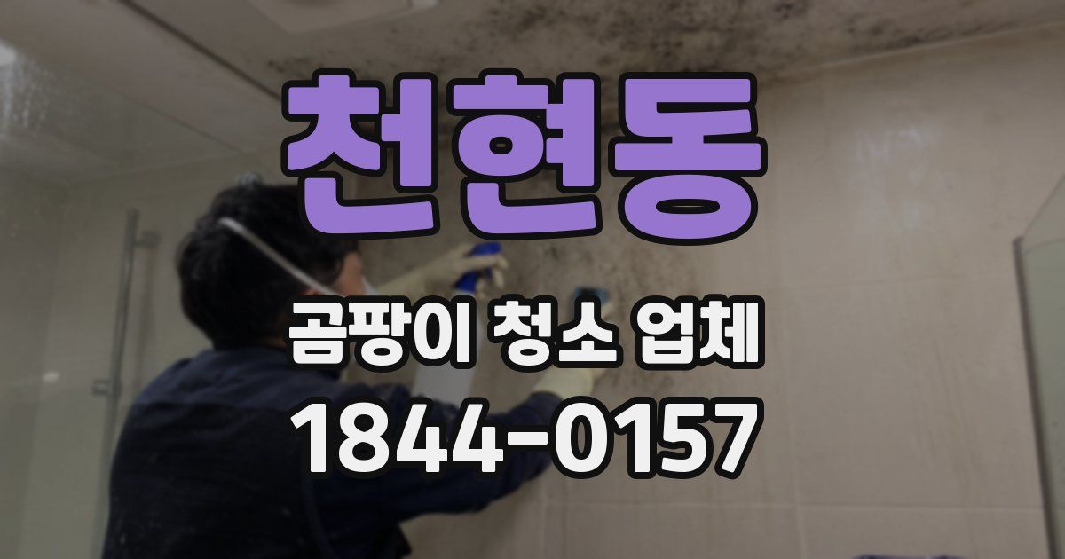 천현동 곰팡이 청소 업체