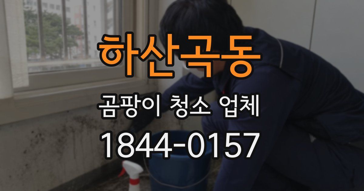 하산곡동 곰팡이 청소 업체
