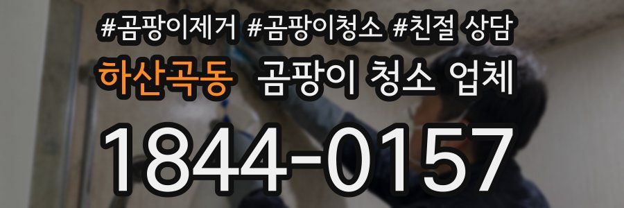 하산곡동 곰팡이 청소 업체