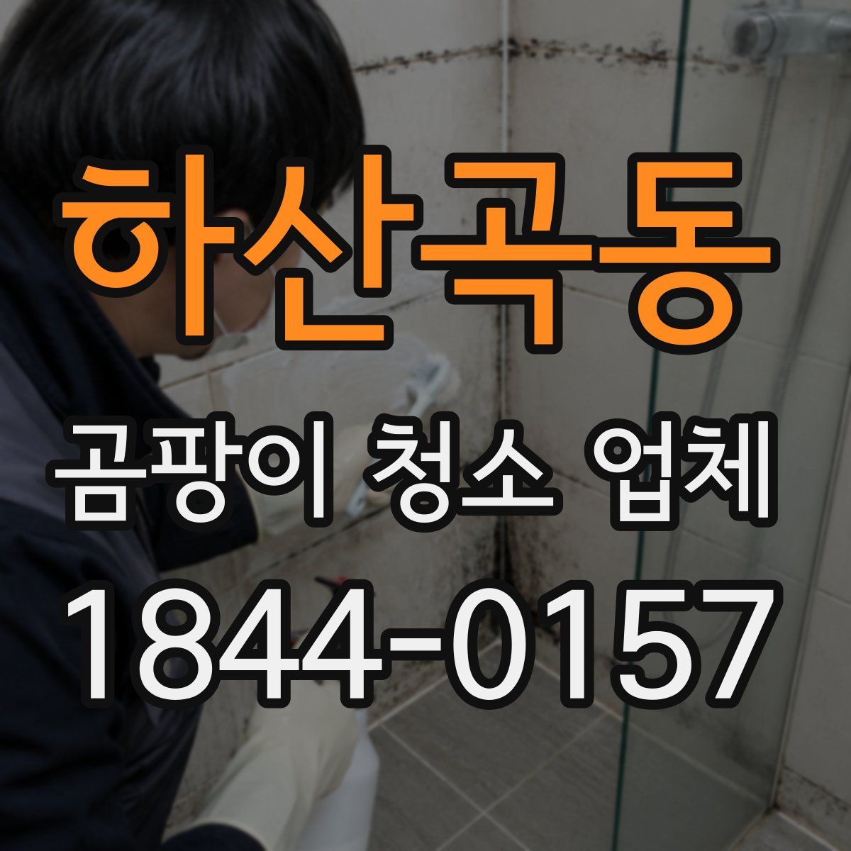 하산곡동 곰팡이 청소 업체