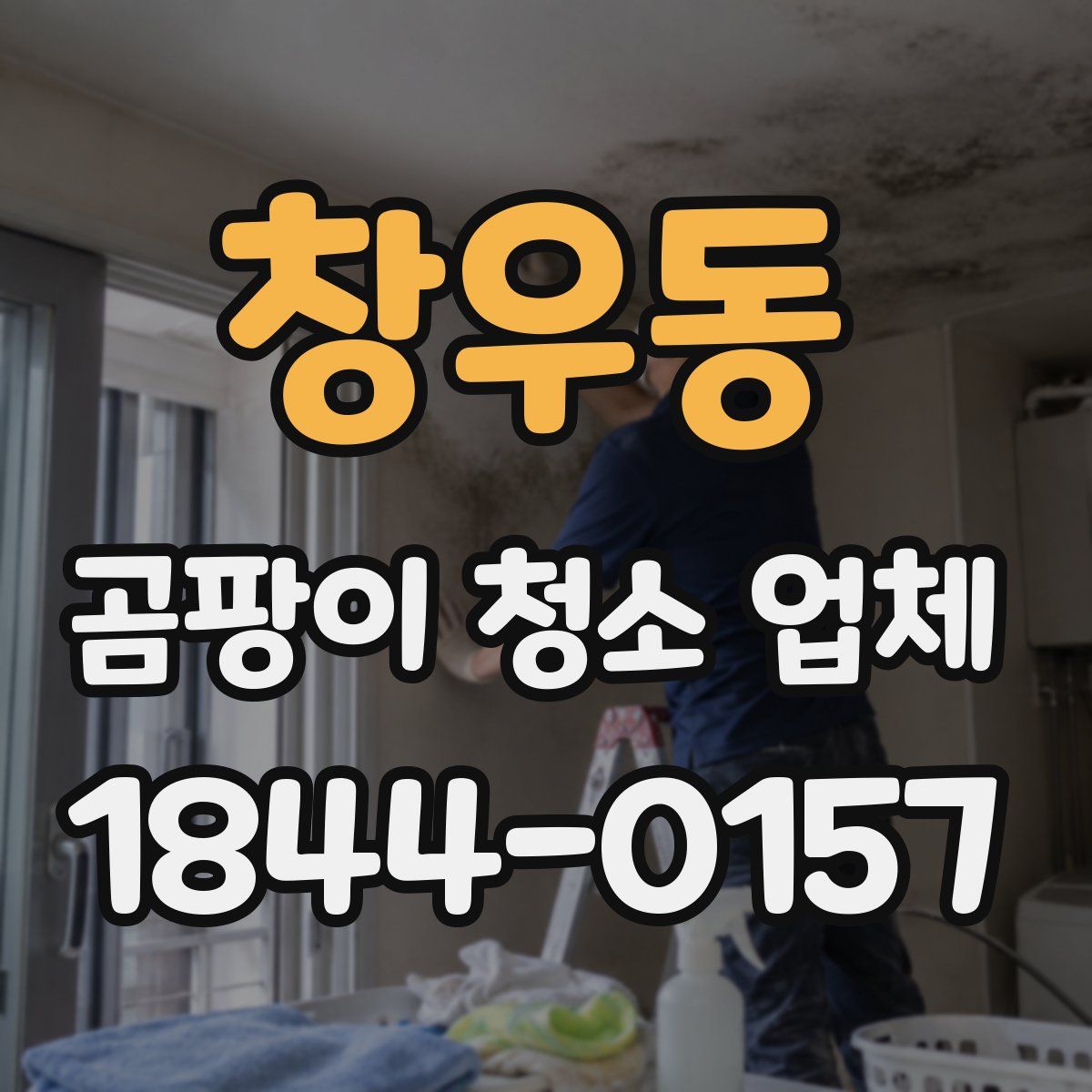 창우동 곰팡이 청소 업체
