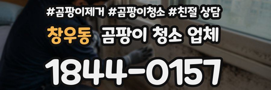 창우동 곰팡이 청소 업체