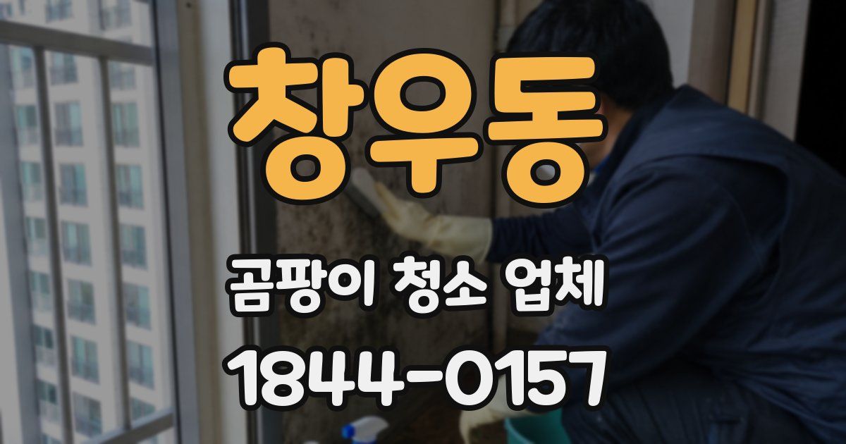 창우동 곰팡이 청소 업체