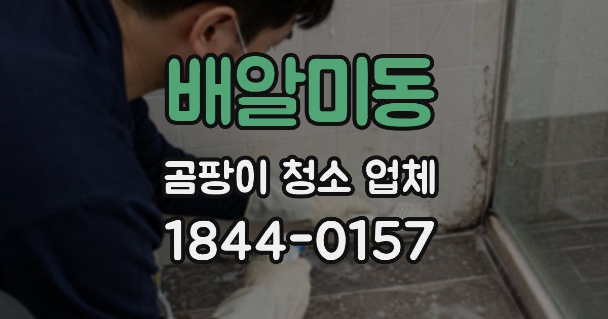 배알미동 곰팡이 청소 업체
