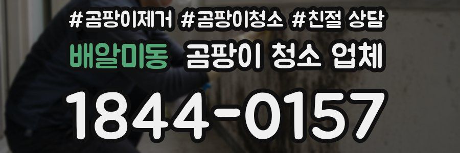 배알미동 곰팡이 청소 업체