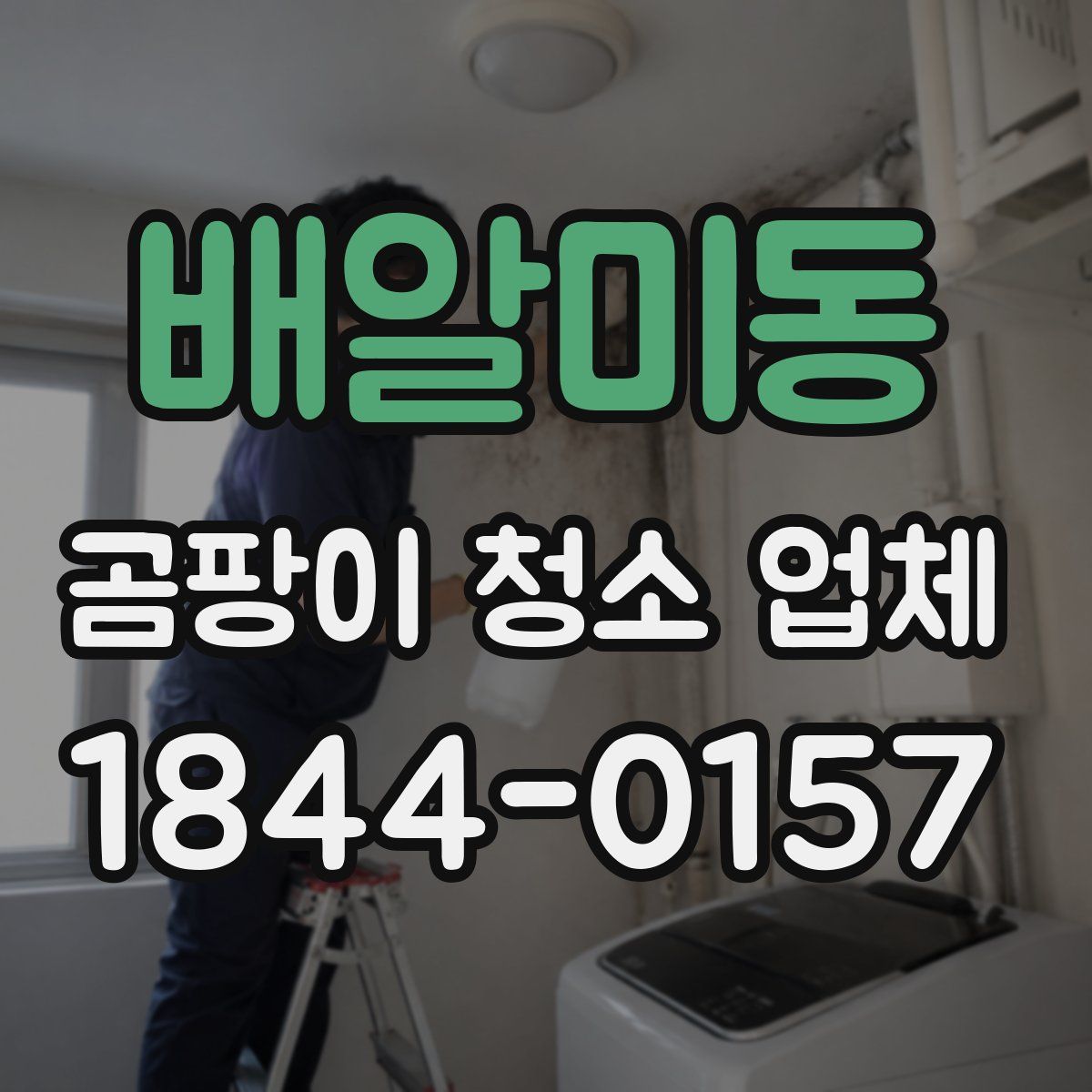 배알미동 곰팡이 청소 업체