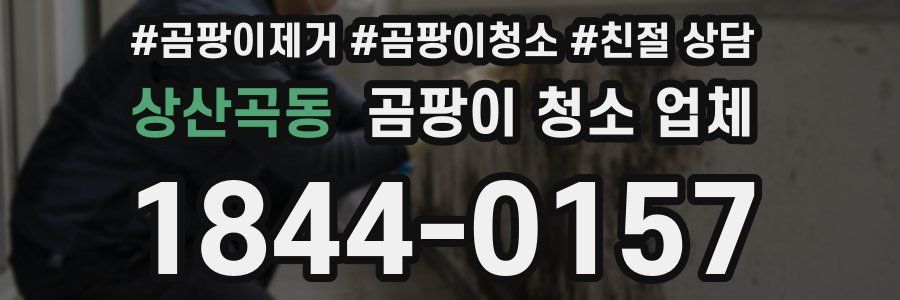 상산곡동 곰팡이 청소 업체