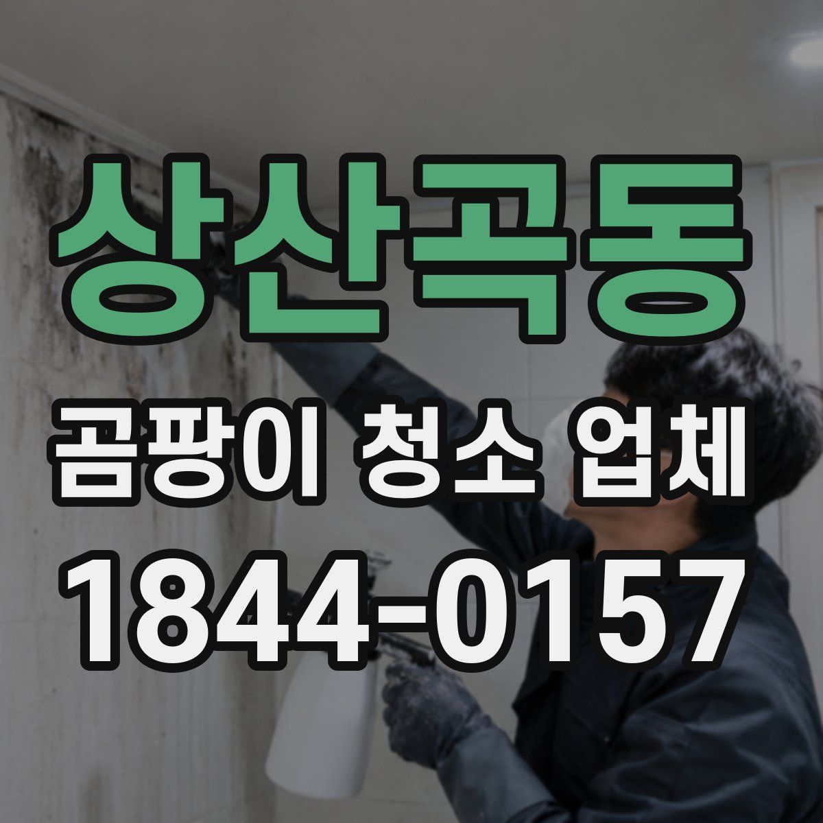 상산곡동 곰팡이 청소 업체