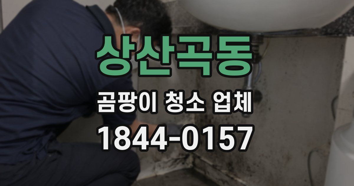 상산곡동 곰팡이 청소 업체