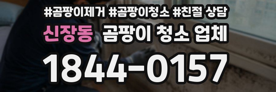 신장동 곰팡이 청소 업체