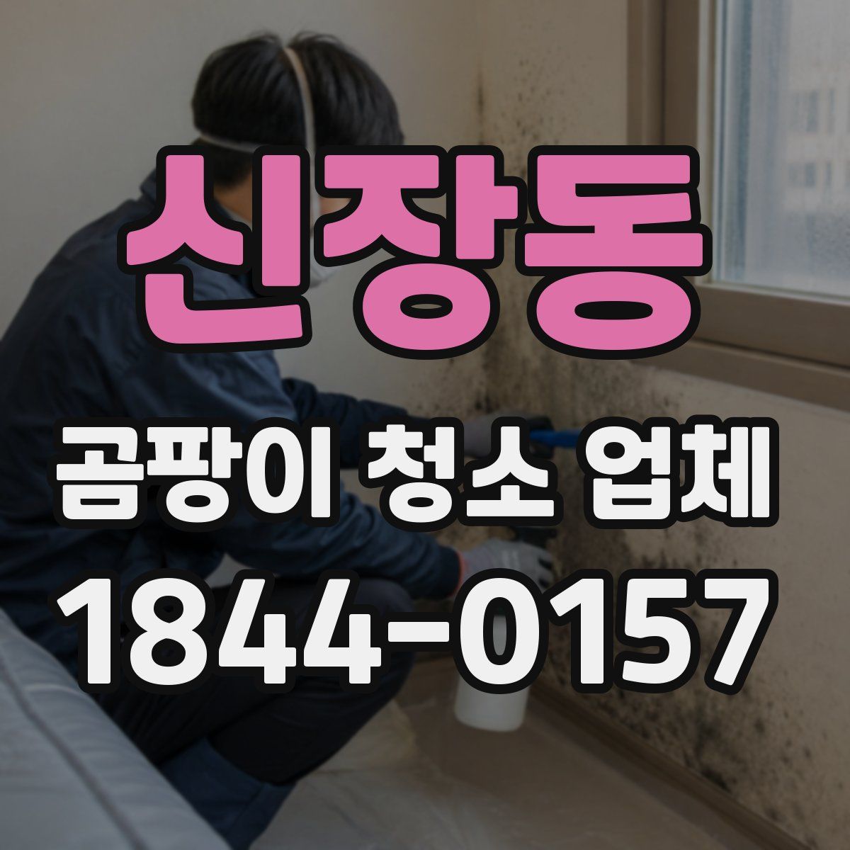 신장동 곰팡이 청소 업체