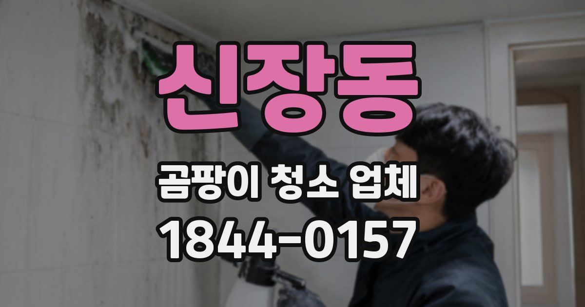 신장동 곰팡이 청소 업체
