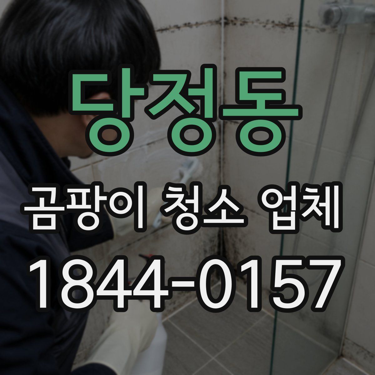 당정동 곰팡이 청소 업체