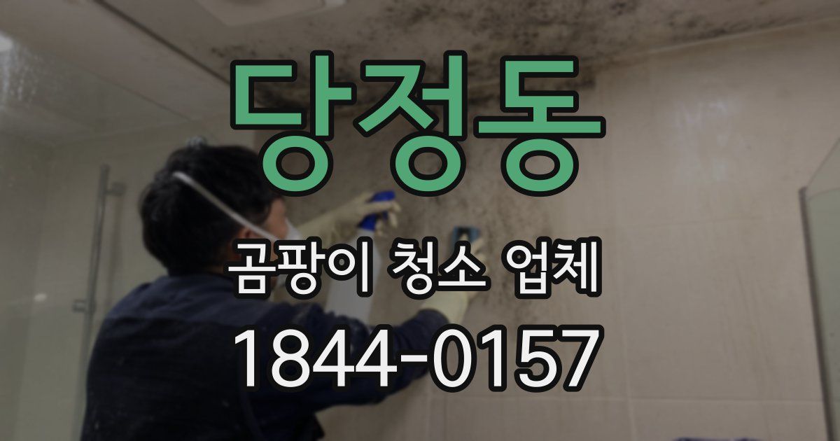 당정동 곰팡이 청소 업체