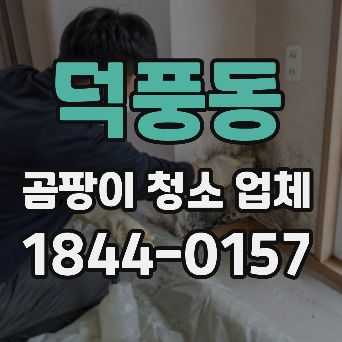 덕풍동 곰팡이 청소 업체