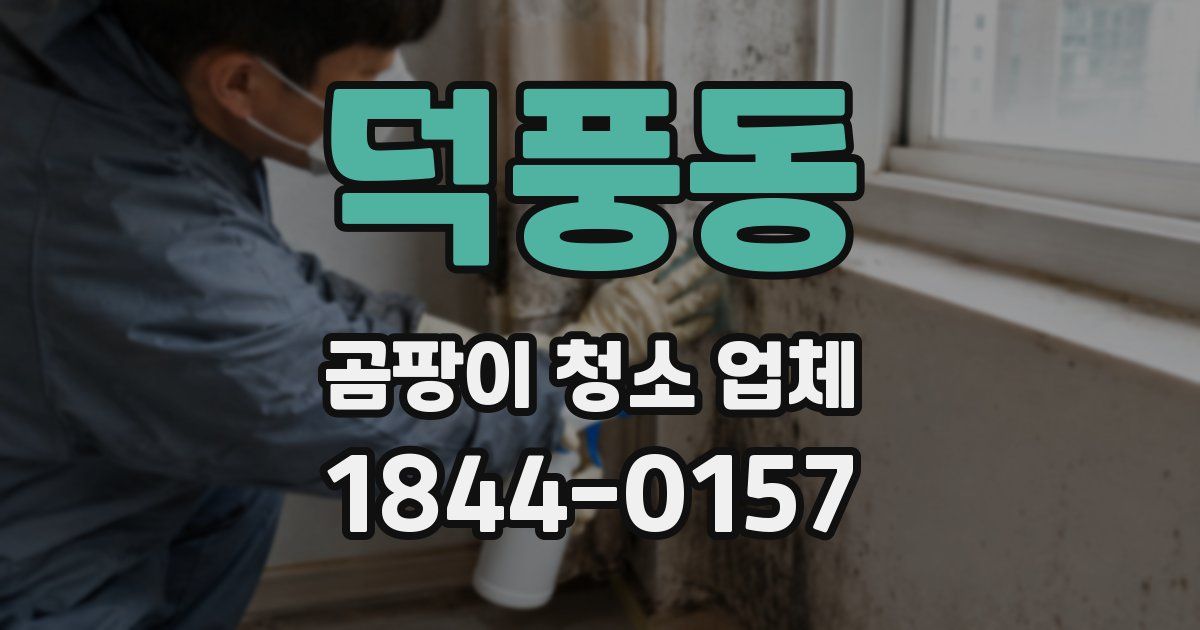 덕풍동 곰팡이 청소 업체