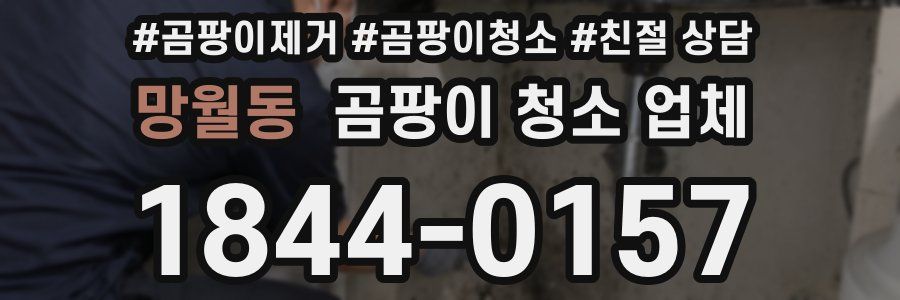 망월동 곰팡이 청소 업체