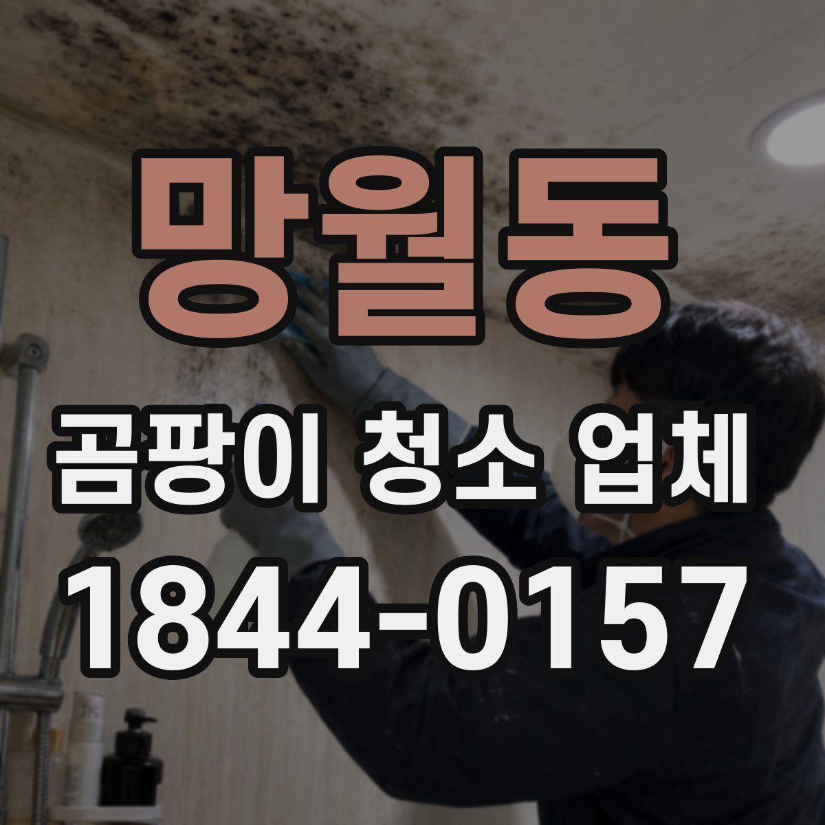 망월동 곰팡이 청소 업체