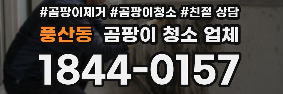 풍산동 곰팡이 청소 업체