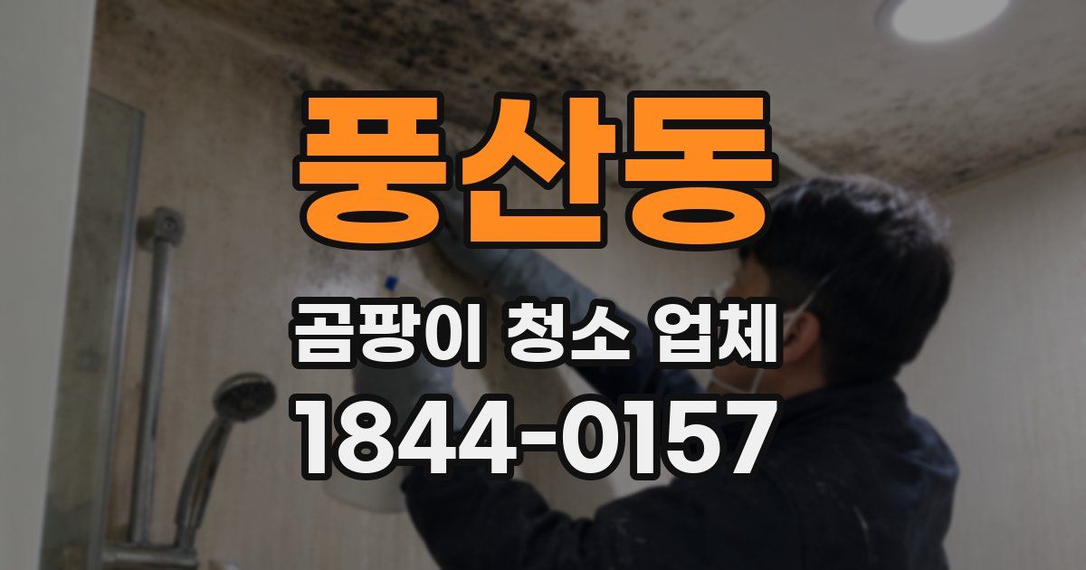풍산동 곰팡이 청소 업체