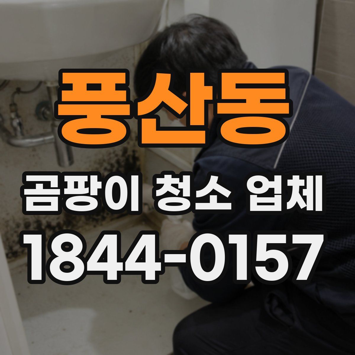풍산동 곰팡이 청소 업체