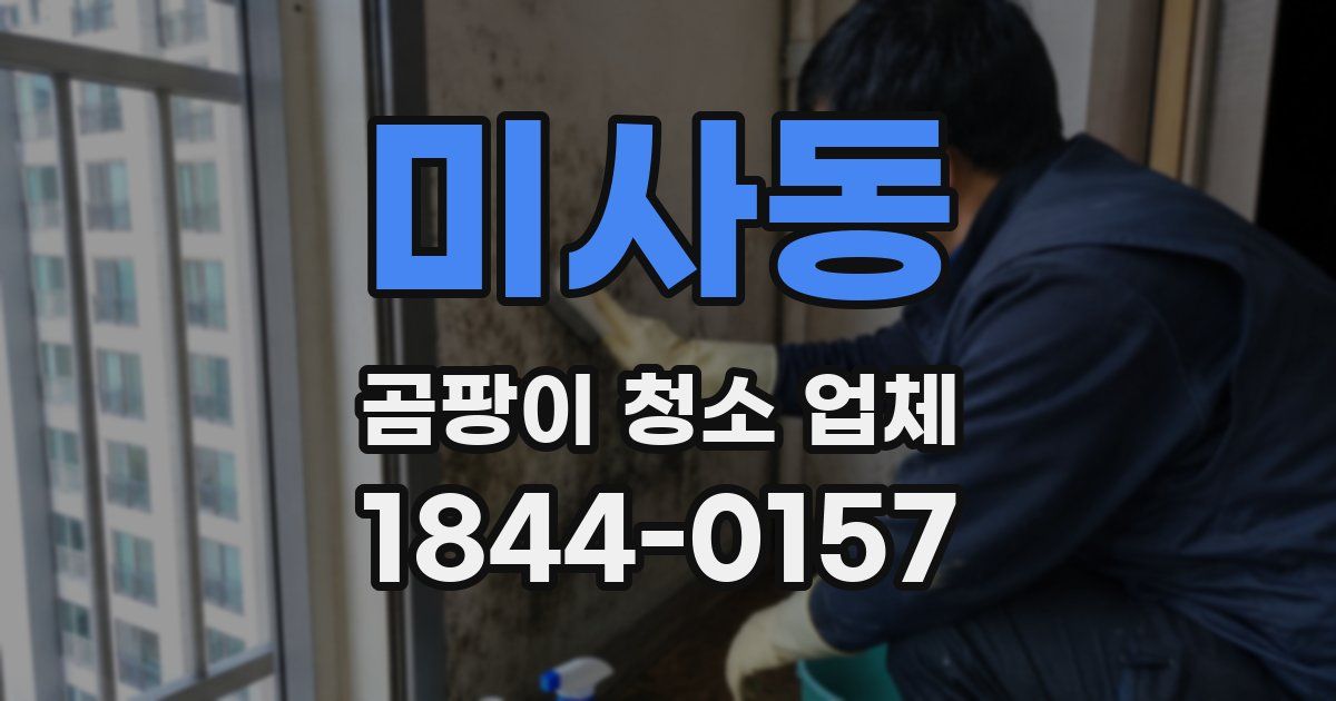 미사동 곰팡이 청소 업체