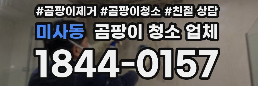 미사동 곰팡이 청소 업체