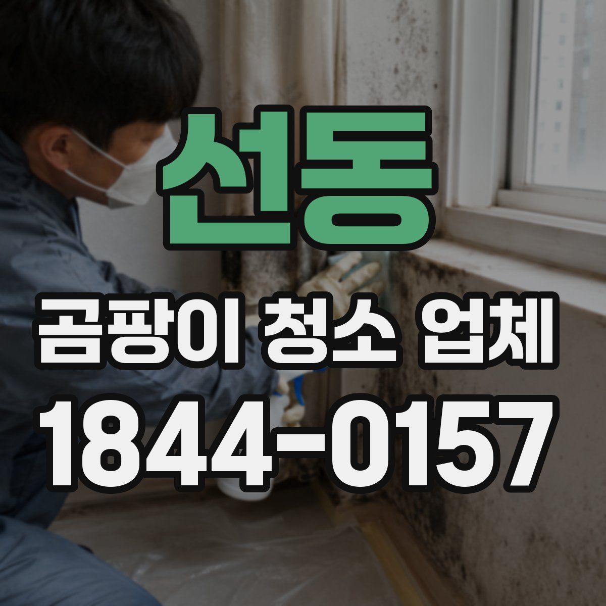 선동 곰팡이 청소 업체