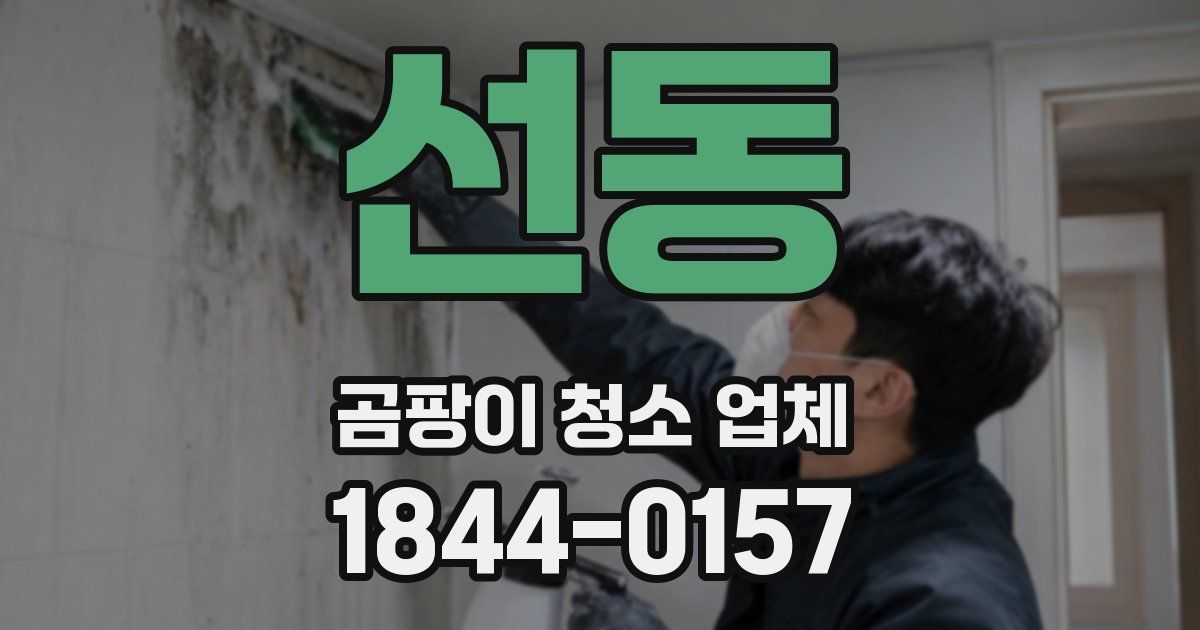 선동 곰팡이 청소 업체