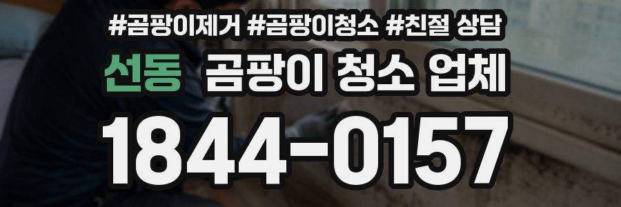 선동 곰팡이 청소 업체