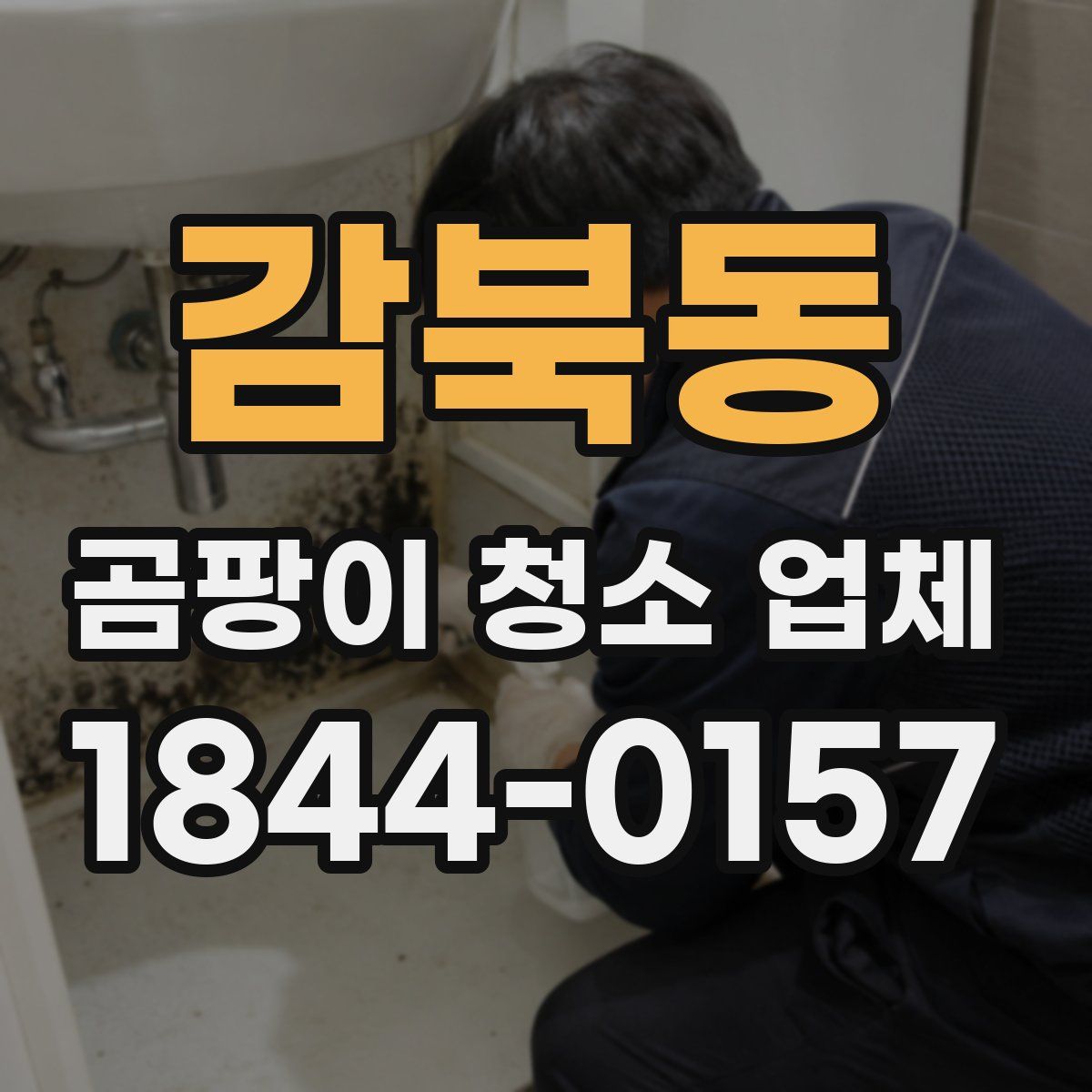 감북동 곰팡이 청소 업체