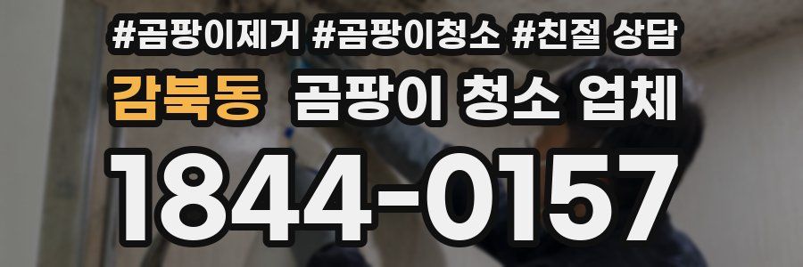 감북동 곰팡이 청소 업체