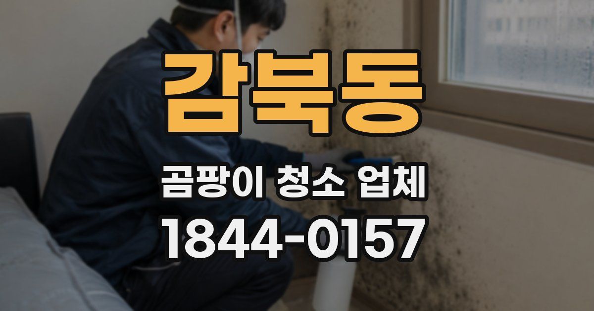 감북동 곰팡이 청소 업체