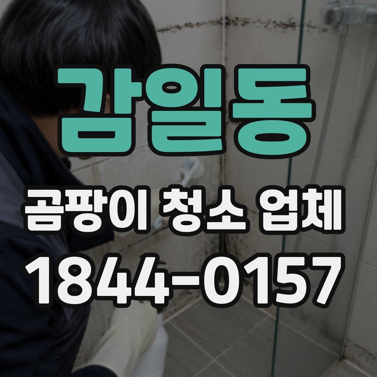감일동 곰팡이 청소 업체