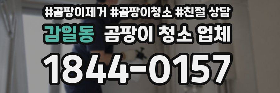 감일동 곰팡이 청소 업체