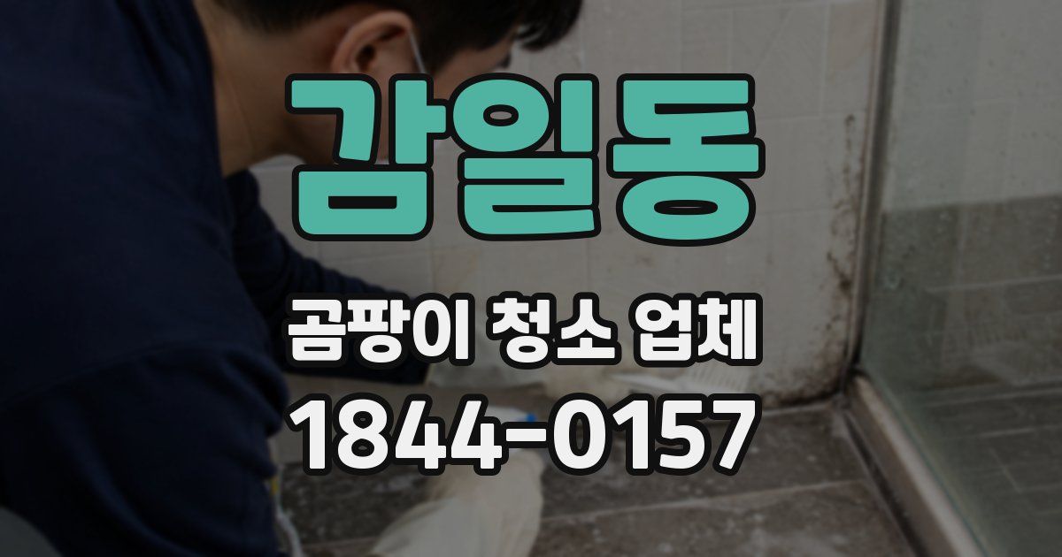 감일동 곰팡이 청소 업체