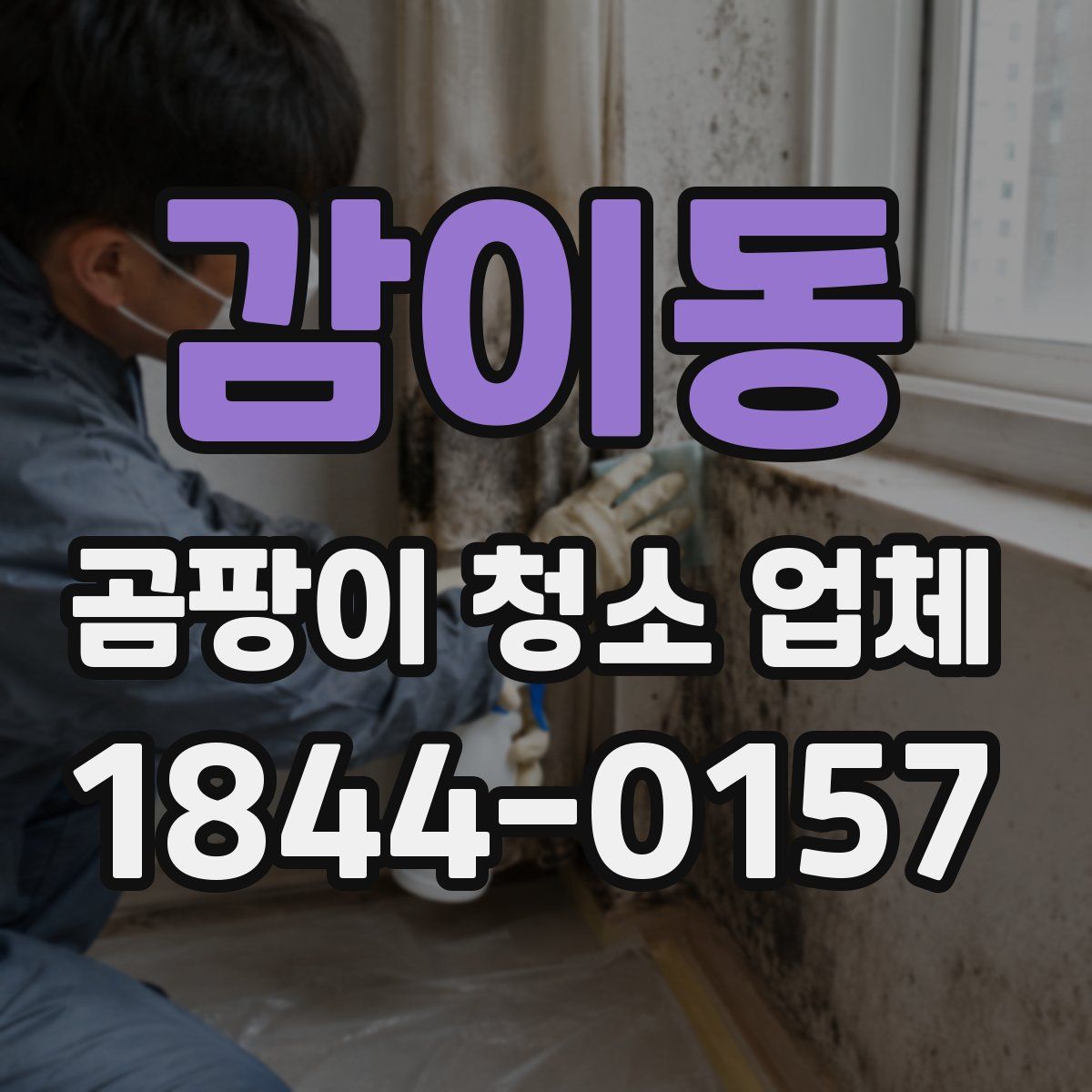 감이동 곰팡이 청소 업체