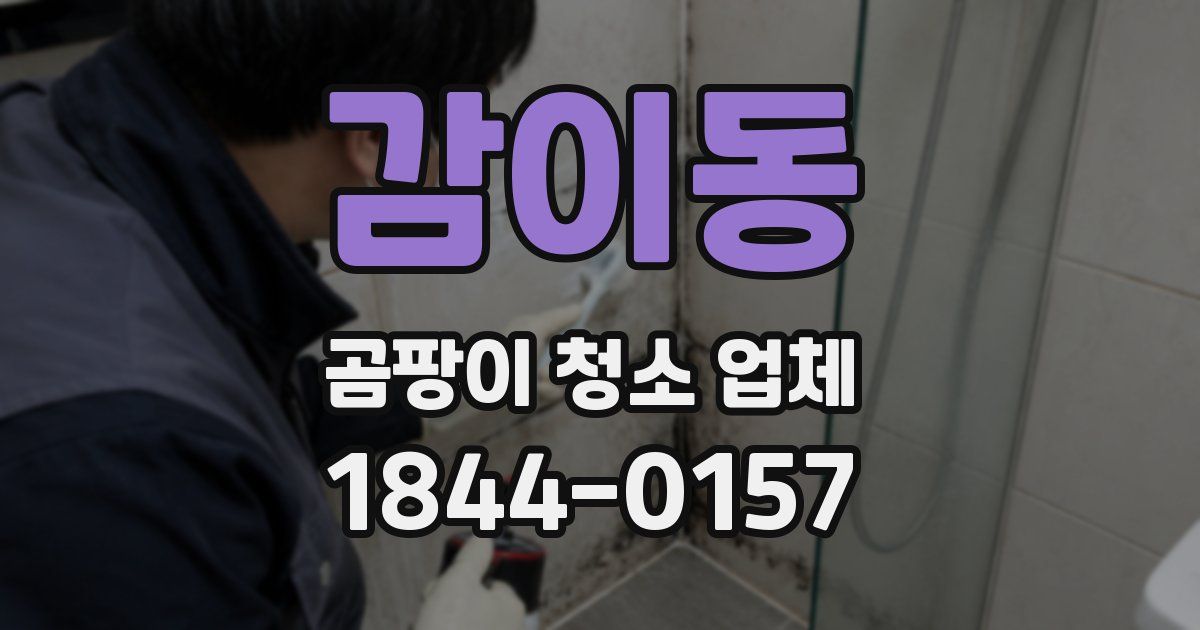 감이동 곰팡이 청소 업체