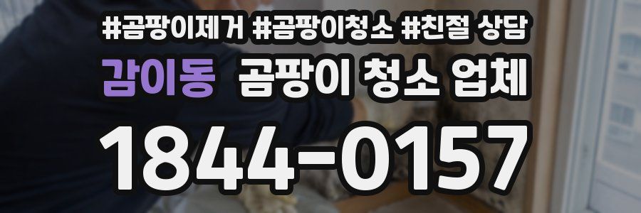 감이동 곰팡이 청소 업체