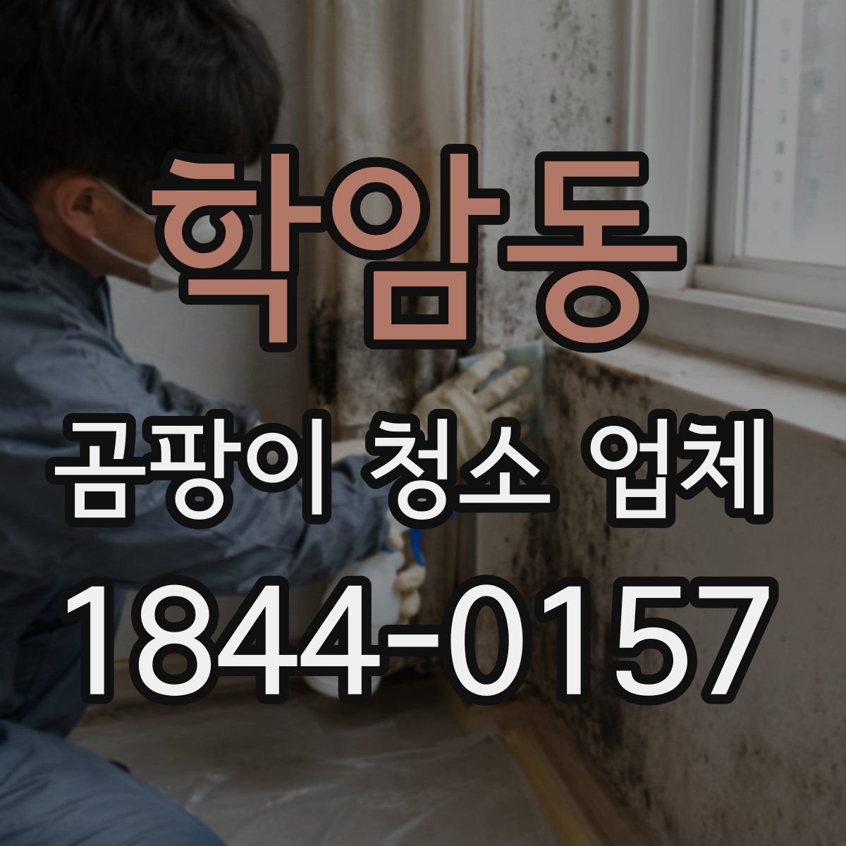 학암동 곰팡이 청소 업체