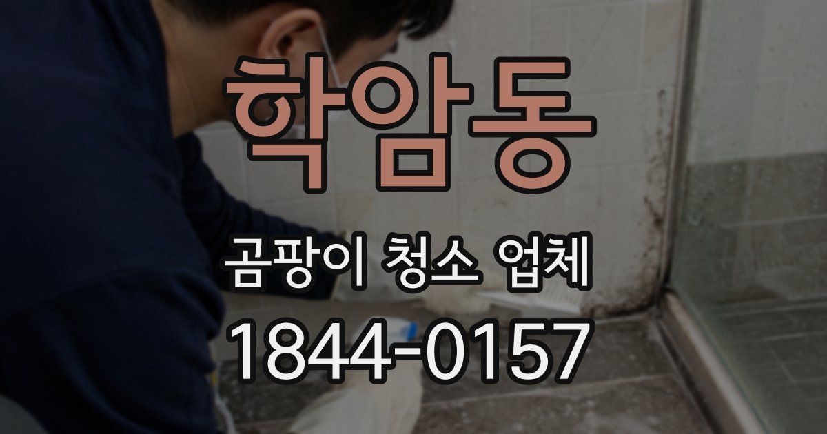 학암동 곰팡이 청소 업체