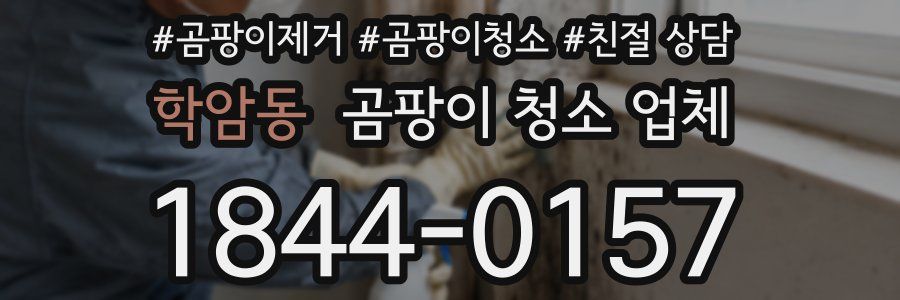학암동 곰팡이 청소 업체