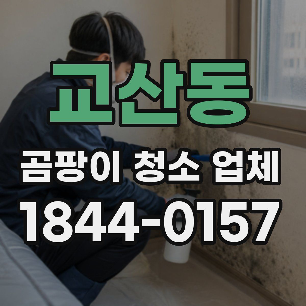 교산동 곰팡이 청소 업체