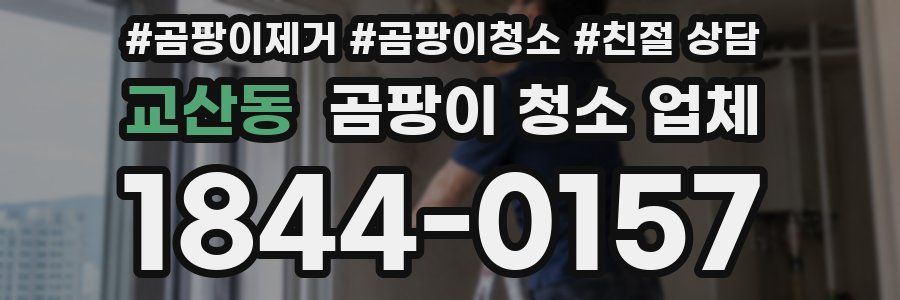 교산동 곰팡이 청소 업체